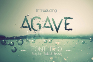 Agave Font Trio: A Display Font for Editorial Expression