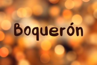 Boquerón: The Font That Made My Bakery Look More Professional