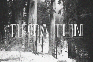 Elpida Thin: A Delicate Touch for Branding