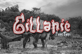 Gillanie: The Modern Typeface That Elevates Your Brand