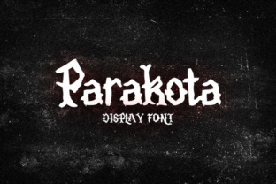 Parakota: The Font That Elevates Your Brand